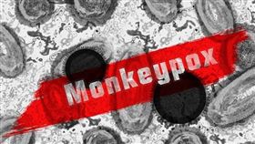 猴痘（圖／Pixabay）