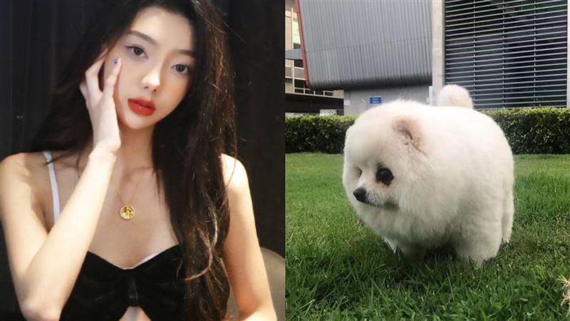 女星託運愛犬　抵達機場竟成死屍崩潰