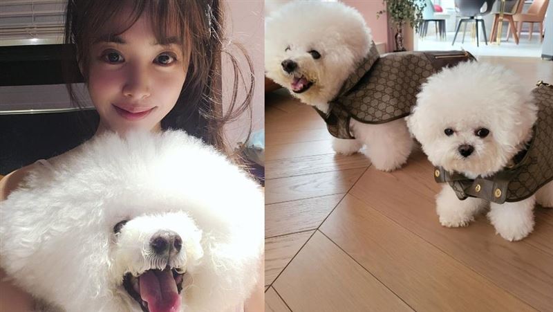 蔡依林「天后尊寵」愛犬新衣比人高檔