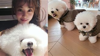 蔡依林「天后尊寵」愛犬新衣比人高檔