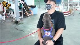 ▲惡霸犬穩定度訓練。（圖／含老闆 授權）