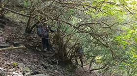 獅王瀑布,戲水,秘境（圖／翻攝畫面）