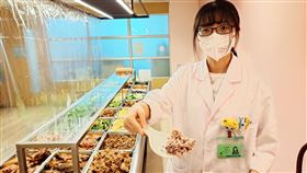 王盈媗營養師表示，若採低熱量減重，女性每天不可低於1200大卡，男性不可低於1500大卡。（圖／台北醫院提供）