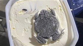 冰淇淋開蓋驚嚇！「冷壓蟾蜍照」全球瘋傳。（圖／翻攝自reddit）