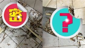 裝潢,菸蒂,天花板,高雄,,香菸（圖／翻攝自「爆廢公社」）