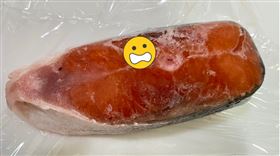 鮭魚大亂鬥
圖／臉書社團