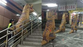 恐龍裝。（圖／翻攝自爆廢公社公開版臉書）