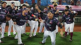 中職樂天擊敗味全　蔡鎮宇撲壘（2）中華職棒樂天桃猿隊25日在主場與味全龍隊交手，比賽6局因雨暫停，由於雨勢不斷，最終裁定桃猿以10比2奪勝，樂天選手蔡鎮宇（前右）在隊友起鬨下，跑上場中帆布衝刺撲壘。中央社記者張新偉攝　111年6月25日