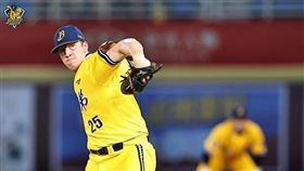 ▲中信兄弟Teddy Stankiewicz（泰迪）。（圖／中信兄弟球團提供）