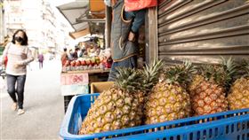 今年鳳梨內銷加工  農委會盼維持8千公噸目標中國暫停輸入台灣鳳梨進入第2年度，農委會4日舉行記者會說明111年鳳梨產銷輔導措施，其中在內銷、加工方面盼維持各8000公噸目標，與會通路、加工業者都認為沒問題。中央社實習記者陳亮至攝  111年3月4日