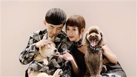 ▲黃子佼和孟耿如拍婚紗時，帶著愛狗「元氣」、「Yabi」入鏡。（圖／翻攝自黃子佼臉書）