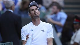 ▲莫瑞（Andy Murray）在溫布頓網球錦標賽第2輪落敗。（圖／美聯社／達志影像）
