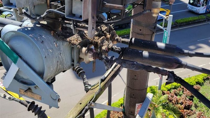 五股1564戶停電　「肇事者」身亡