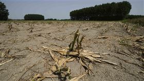 義大利旱災。（圖／路透社／達志影像）