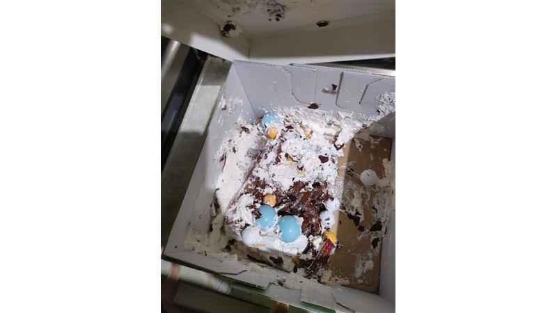 寄蛋糕被摔爛PO網　網反揪1點開酸