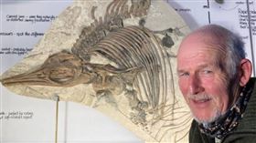 化石收藏家發現一塊標本化石，進一步研究驚覺，石板上的是新品種魚龍。（圖／翻攝自@Dean_R_Lomax推特）