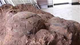 ▲遠古時代河源市可能是低窪沼澤地，氣候溫和且雨量豐沛適合繁殖，吸引恐龍到此生產。（圖／翻攝自江南都市報微博）