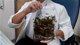 馮啟彥主任提醒，飯後若有不明原因的上腹痛，務必及早到醫院接受檢查。（圖／大千綜合醫院提供）