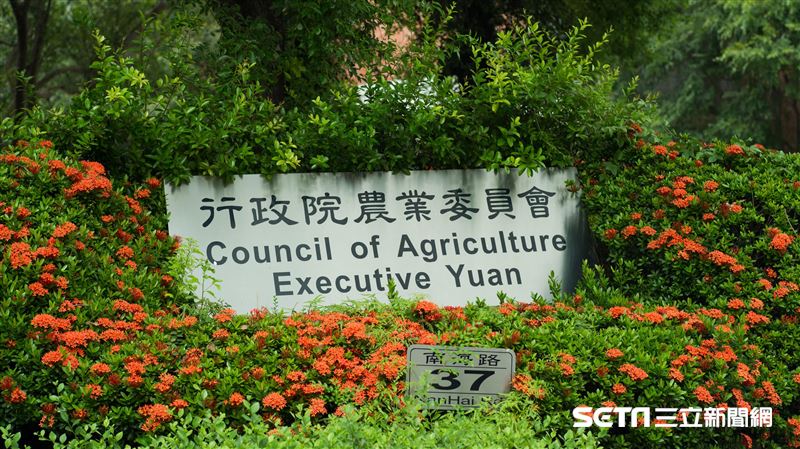 芒果「被確診」禁輸澳門　防檢局回擊