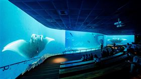 ▲（圖／海景世界企業股份有限公司提供）