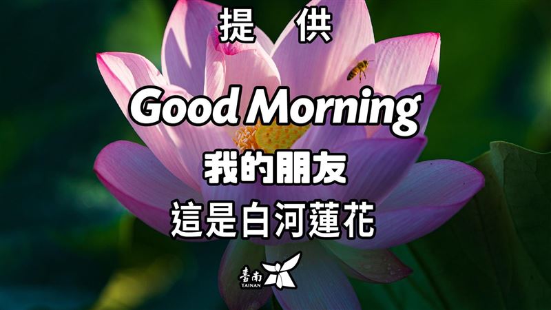 行銷白河蓮花季　黃偉哲推「長輩圖」