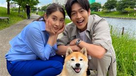 《麻煩一族》。（圖／friDay影音提供）