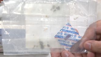 獨／買冬瓜磚回家煮　打開見小強家族