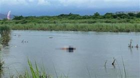 石頭,溺斃,失足,中正大橋（圖／翻攝畫面）