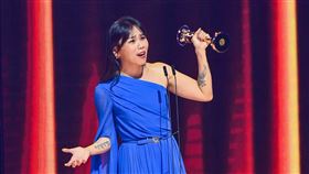 蔡健雅　最佳華語女歌手。（圖／台視提供）