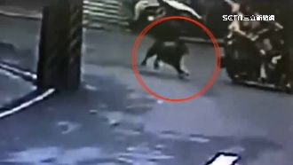 婦騎車被狗狂追　飼主挨告判罰五千元