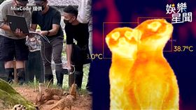 ▲第33屆金曲獎的典禮視覺讓觀眾們相當驚艷。（圖／MixCode 提供）