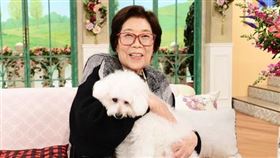 獨居沒人救…95歲女星陳屍家中　製作人鼻酸：一定很難受 @oishimonohaksan推特 野村昭子