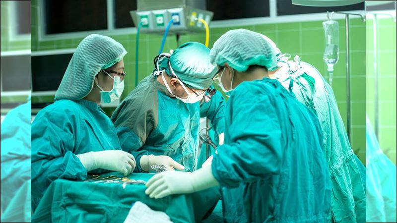 瀕死心臟仍跳動　維持身體平衡穩定