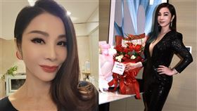 陳美鳳。（圖／民視提供、陳美鳳臉書）