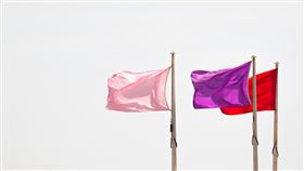 粉紅浪潮，粉紅色，紅色，旗幟，共產，社會主義。（示意圖／翻攝自unsplash）