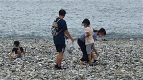 家長帶著孩子們到海邊撿垃圾，大家看了都大讚。圖／翻攝「花蓮人」臉書