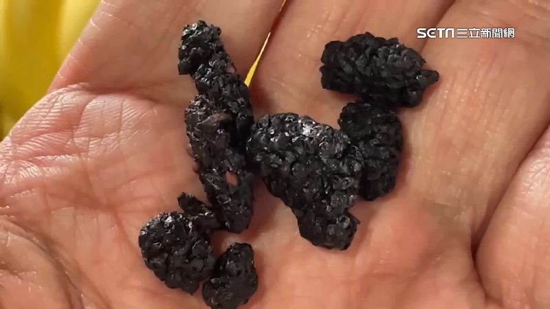 背了3年黑鍋　有機桑葚農報警自保