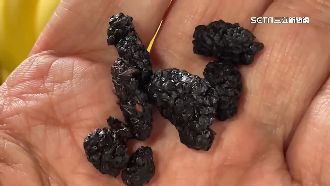 背了3年黑鍋　有機桑葚農報警自保