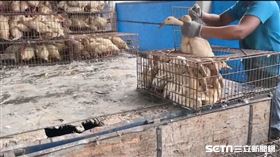 犬山居授權提供（其他負面稿件勿用，謝謝～）