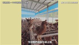 ▼▲昕昕和林林的農場推廣友善養殖。（圖／昕林農場—100天農場日記 授權）