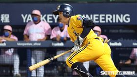 ▲中信兄弟游擊手江坤宇。（圖／記者劉彥池攝影）