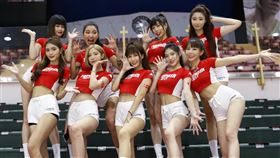 夢想家啦啦隊選新成員加入「職籃女神」行列。（圖／Formosa Sexy提供）