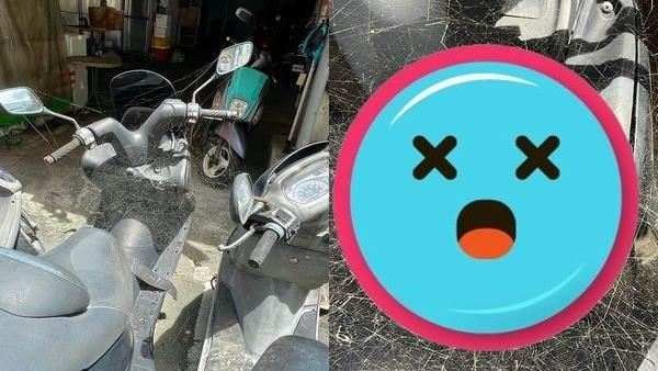機車放3天驚見盤絲洞！全網起雞母皮