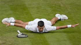 ▲喬科維奇（Novak Djokovic）在救球美技後，趴在草地上做出「大鵬展翅」的動作。（圖／美聯社／達志影像）