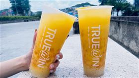 初韻TrueWin,業者提供