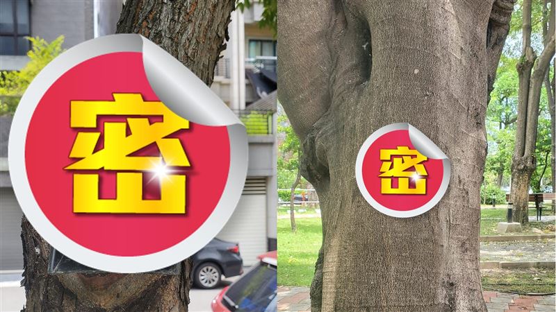 公園樹上掛「1道具」　鏟屎官秒懂