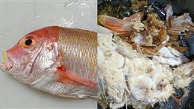 第一次煎魚的成品。（圖／翻攝自爆廢公社公開版）