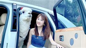 王宥忻／固力狗娛樂提供