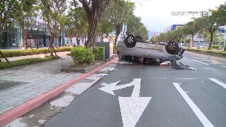 撞路燈衝人行道　駕駛：為閃流浪狗