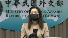 歐江安（圖／翻攝自外交部YT）